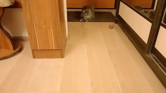 Филя футболист.
