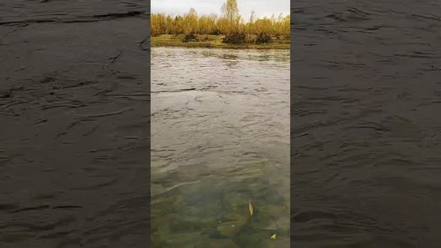 Течение жизни, как и течение воды- быстротечно!