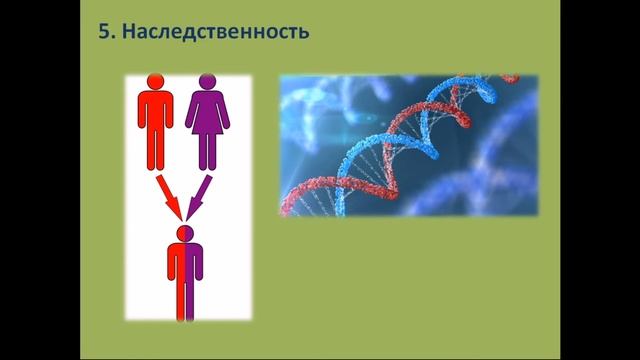 Критерии живых систем