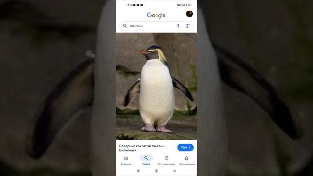 1000005656.mp4