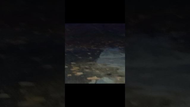 1000009941.mp4