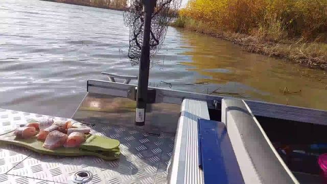 Октябрьская Ахтуба 2024, Трехречье.