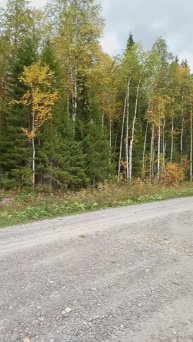 Красотишча! Beauty!