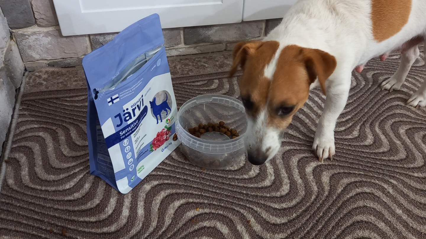 Корм Ярви для взрослых собак мелких пород с ягненком