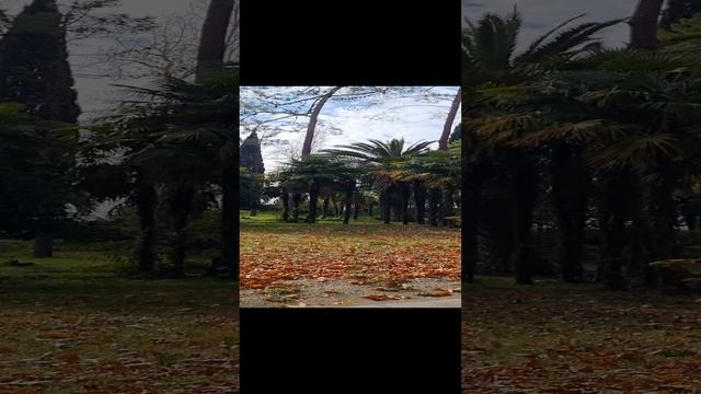 1000055649.mp4