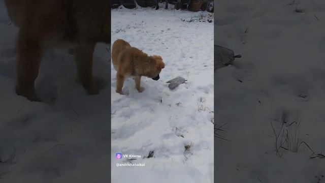 жизнь за городом!