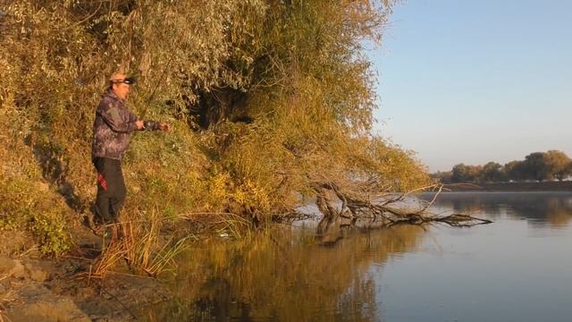 БЕШЕНАЯ УТРЯНКА Сколько рыбы в этих корягах Осенняя рыбалка в Астрахани 2021