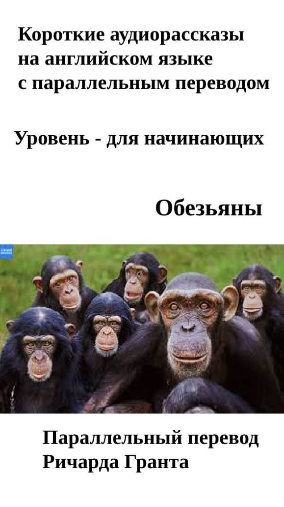 Обезьяны