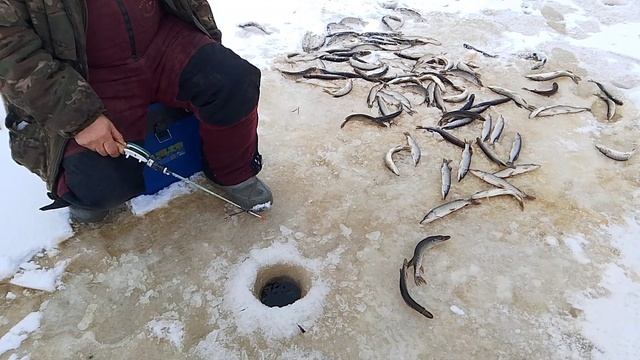 Зимняя Рыбалка