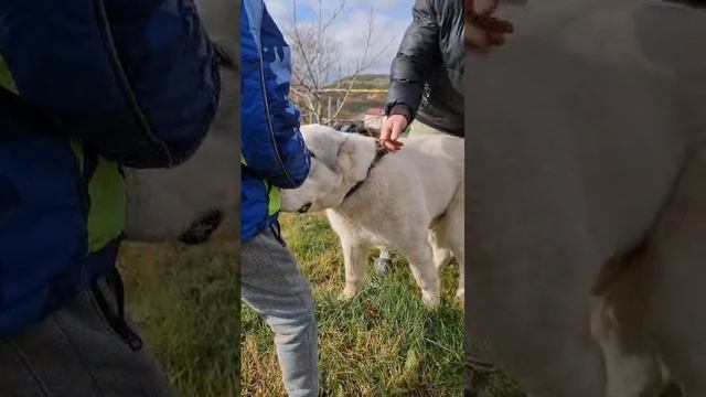 1000040643.mp4