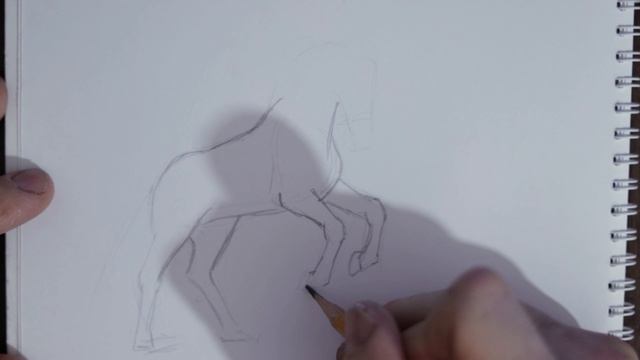 конь