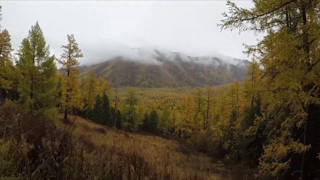 Алтай 2018