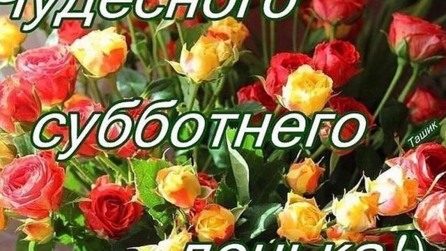 #СУББОТНИЙ БЛЮЗ #ОТ #SUNO_#gurk