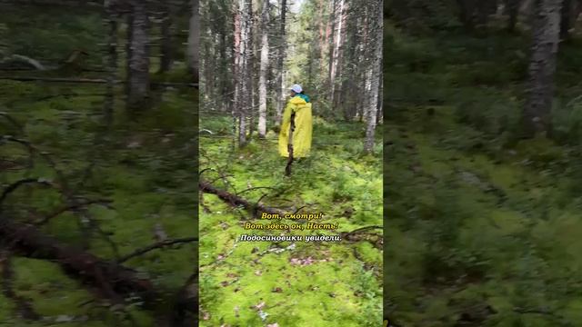 Обалденно-мягкий мох #земнойирий #леснаяприрода #природа #лес #свроежки #грибы #мох #красотаприроды