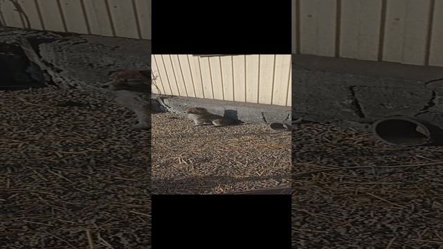 1000002177.mp4