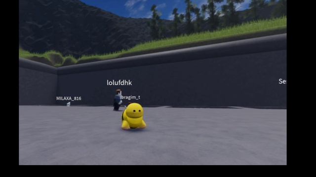 это правда