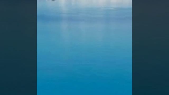 video20241115_222629.mp4