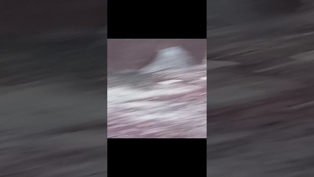 1000001299.mp4