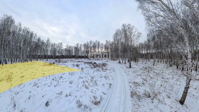 3916138 Винзили