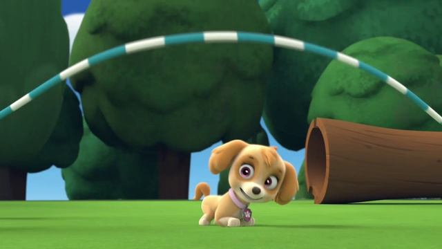 Paw Patrol S01E05 [1080p]