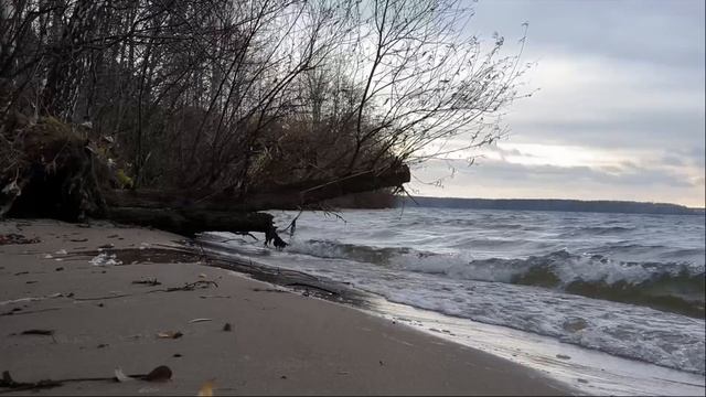 МОРЕ ХОЛОДА