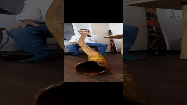 Диджериду из дуба в Ре бемоль