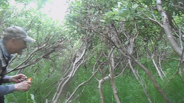 Играем, с медведем, в прятки.