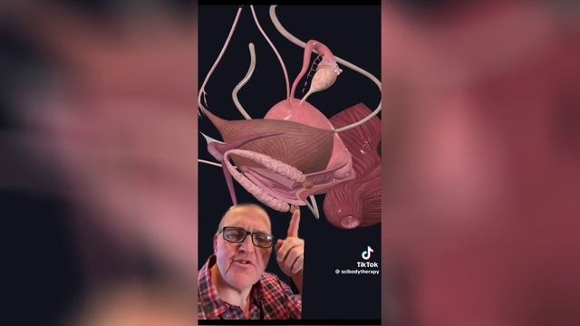 Best video of Tik Tok! 16.11.24 / 11