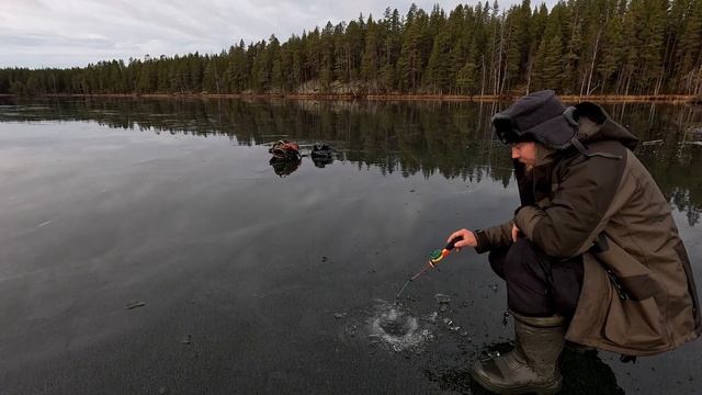 РЫБАЛКА ПО ПЕРВОМУ ЛЬДУ 2024. ХОРОШИЕ ОКУНИ ПО ПЕРВОМУ ЛЬДУ. ТОНКИЙ ЛЁД НА ЛЕСНОМ ОЗЕРЕ. ОПАСНЫЙ ЛЁД