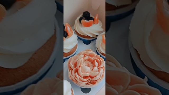 1000003153.mp4