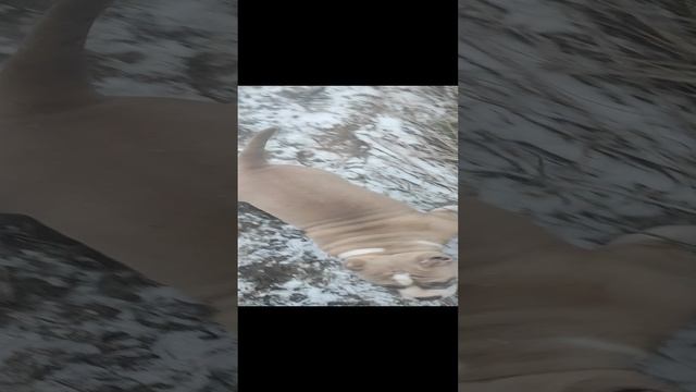 1000202143.mp4