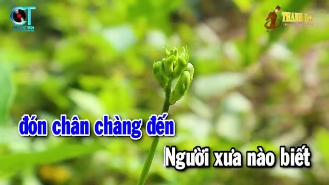 Y2meta.app-Karaoke Hàn Mặc Tử Tone Nam Nhạc Sống Dễ Hát Nhất 2024 _ Thanh Hải