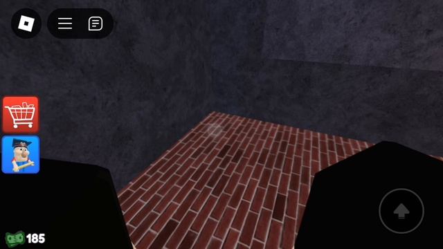 SVID_20241115_233126_1.mp4