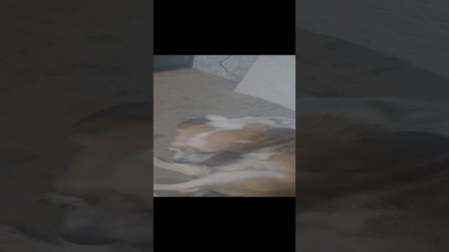 1000006453.mp4