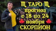 ТАРО-прогноз с 18 по 24 ноября 2024 ♏︎ СКОРПИОН