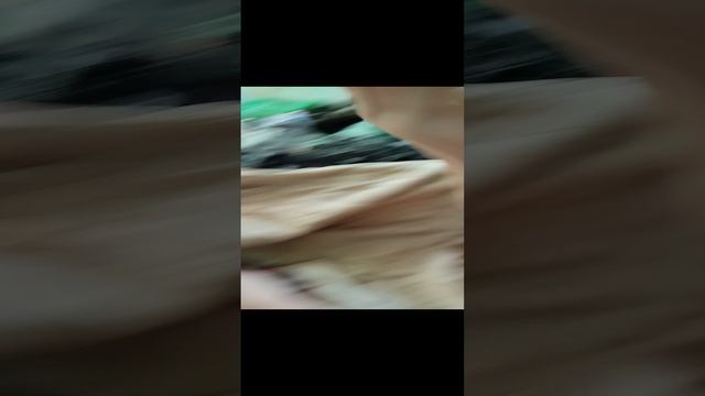 1000003587.mp4