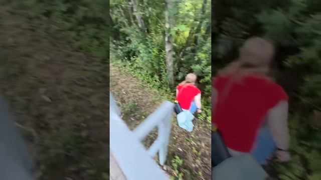 Сегодня мы наткнулись на милого котёнка, который, казалось, был одинок и нуждался в помощ