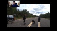 реакция на гвр авто шоу на видео с 1 млн подписчиков