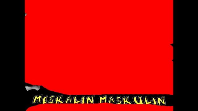 Meskalin Maskulin - Beste Welt