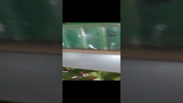 1000039492.mp4