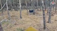 Уничтожение укрытия для личного состава ВСУ FPV-дроном