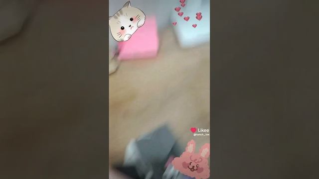 обзоры на мои покупки 💞