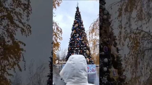 🎄В парке Зарядье уже царит новогодняя атмосфера! #москва #москва2024 #паркзарядье #зарядье #год2025