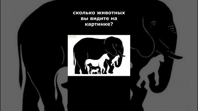 сколько животных вы ведете?