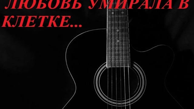 ЛЮБОВЬ УМИРАЛА В КЛЕТКЕ...
авторская песня