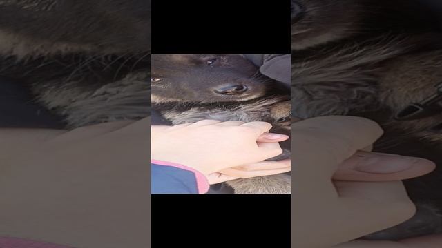 1000002178.mp4