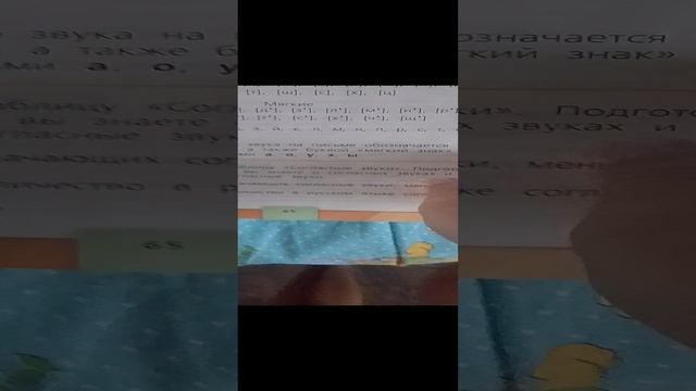 VID_20241116_123109.mp4