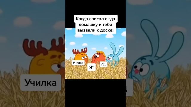 мем