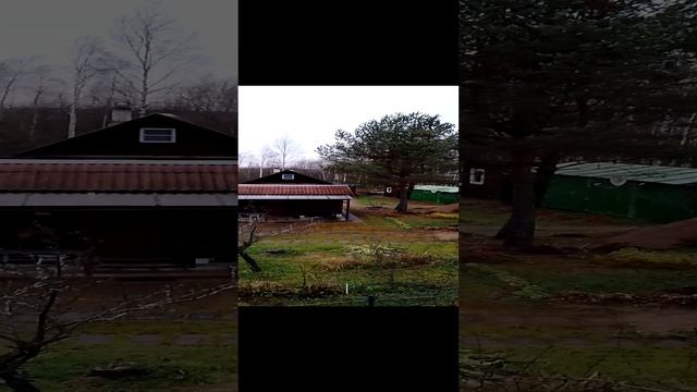 1000023786.mp4