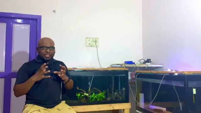 Anubias | Nitrate reducer | Planted Aquarium | Tamil